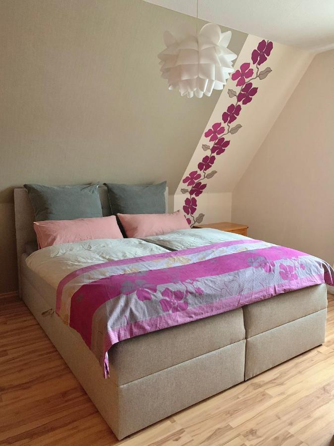 Ferienwohnung Paulita 졸타우 외부 사진